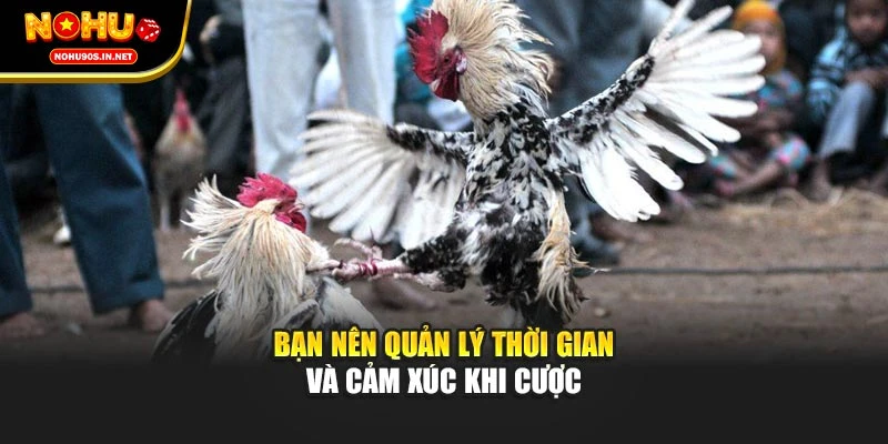 Bạn nên quản lý thời gian và cảm xúc khi cược