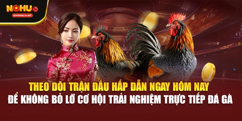 Theo dõi trận đấu hấp dẫn ngay hôm nay để không bỏ lỡ cơ hội trải nghiệm trực tiếp đá gà